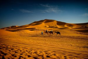 7 Days in Morocco Tours from Casablanca